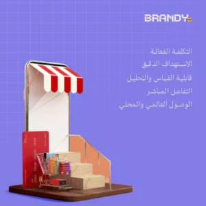 لماذا تحتاج الشركات المحلية إلى شركات تسويق الكترونى فى مصر؟